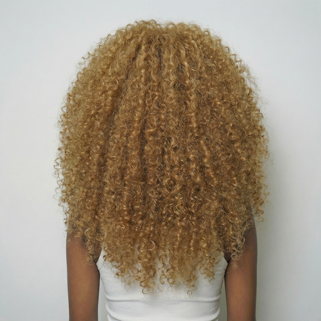 WIGZ 01 - Full back view of 24 inch 220% density AFRO HONEY wig.