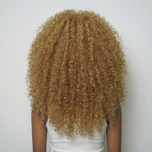 WIGZ 01 - Full back view of 24 inch 220% density AFRO HONEY wig.