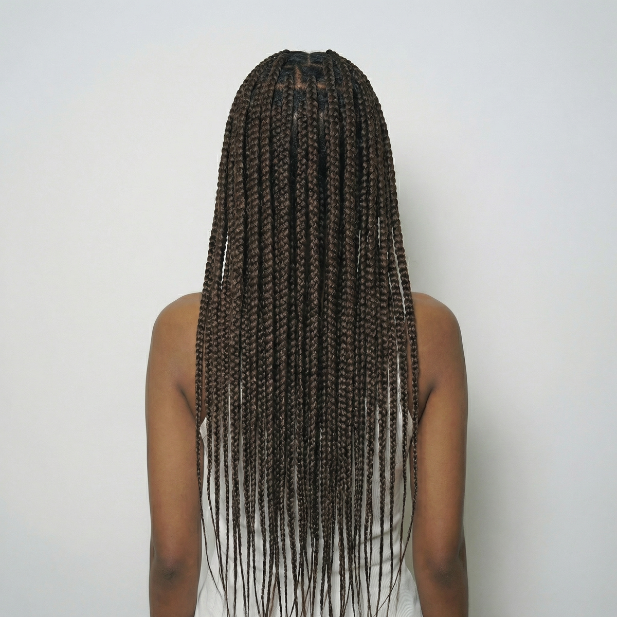 WIGZ 03 - Full back view of 26 inch 200% density AFRO BOX BRAIDS wig.