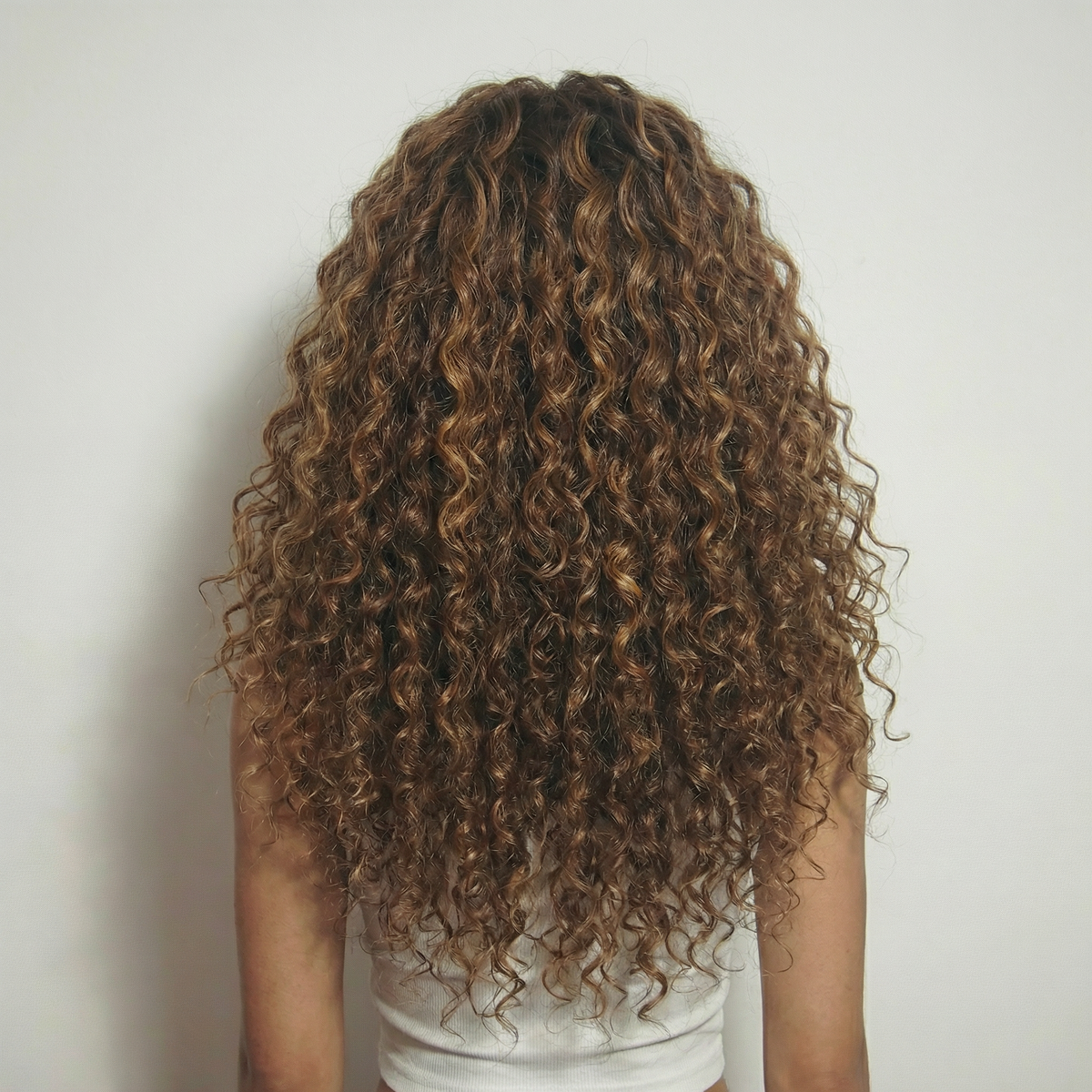 WIGZ 07 - Full back view of 26 inch 200% density CURLY BALAYAGE WARM BRUNETTE wig.