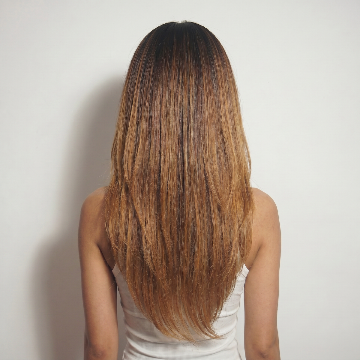WIGZ 24 - Full back view of 22 inch 180% density STRAIGHT COFFEE BALAYAGE wig.