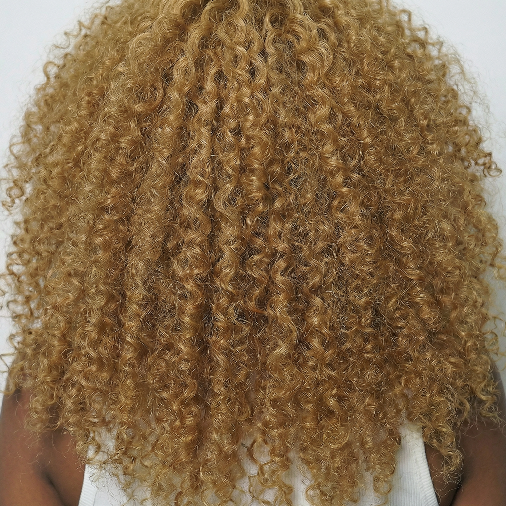 WIGZ 01 - Macro close-up of AFRO HONEY PURE-VIRGIN HAIR™ texture and shine.